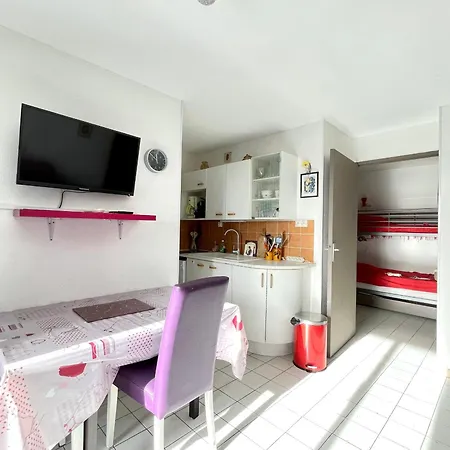 Apartamento Charmant 2 Pieces Avec Loggia, Climatisation Et Parking A 300m Plage - Fr-1-338-168 *
