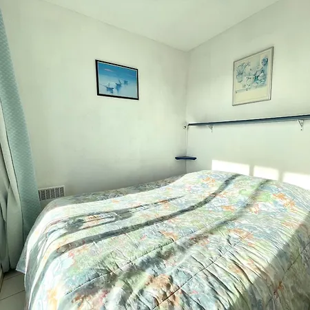 Charmant 2 Pieces Avec Loggia, Climatisation Et Parking A 300m Plage - Fr-1-338-168 Apartamento
